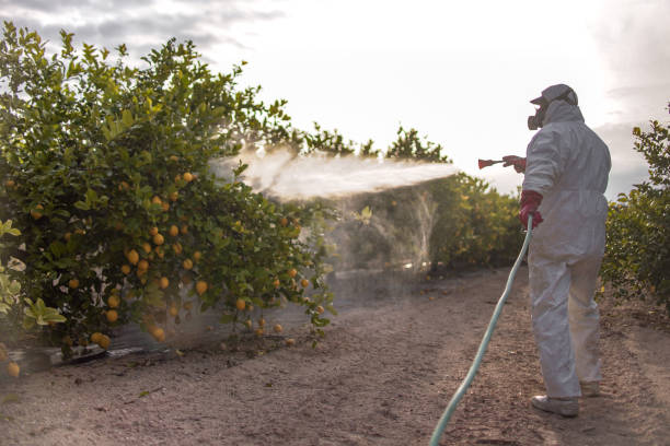 Pest Control Cost in Lagrange, IN