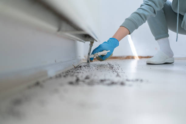 Best Wasp Removal Services  in Lagrange, IN
